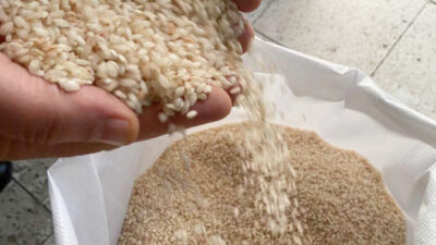 Ilgaz ve Tosya Belediyeleri Sarıkılçık princi konusunda karşı karşıya geldi.
