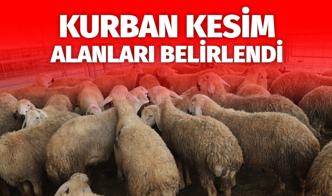 Kurban Kesim Alanları Belirlendi Çankırı İl Kurban Hizmetleri Komisyonu kararları doğrultusunda vatandaşların şehir merkezinde
