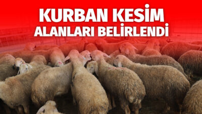 Çankırı İl Kurban Hizmetleri Komisyonu kararları doğrultusunda vatandaşların şehir merkezinde