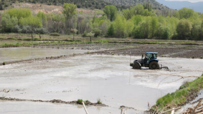 Sofralarımızın vazgeçilmez besin maddelerinden ve ekmekten sonra en çok tüketilen