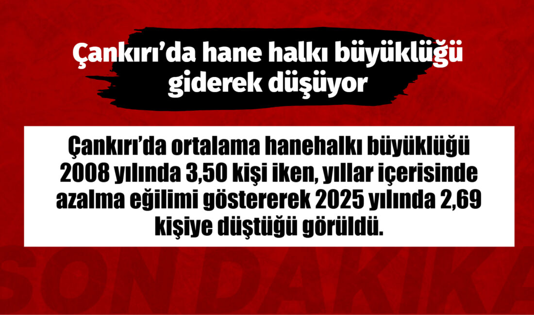 Türkiye İstatistik Kurumu (TÜİK) Başkanlığı İstatistiklerle Aile, 2025 haber bültenini