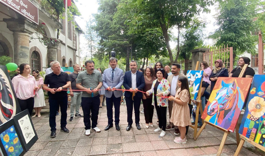 Ahmet Mecbur Efendi BİLSEM’de Resim Sergisi Açıldı Çankırı Ahmet Mecbur Efendi Bilim ve Sanat Merkezi (BİLSEM), Görsel