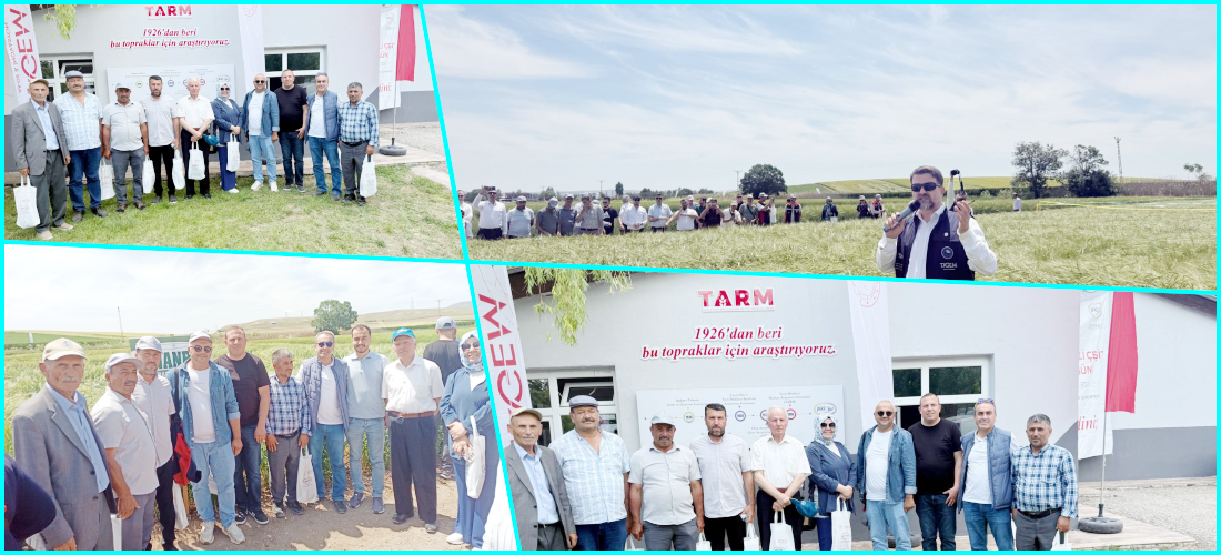 Çankırı Çiftçileri Tarla Günü Etkinliğinde Tarım ve Orman Bakanlığı Tarımsal Araştırmalar ve Politikalar Genel Müdürlüğü