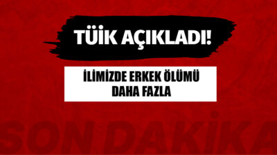 Türkiye İstatistik Kurumu Başkanlığı (TÜİK) Ölüm ve Ölüm Nedeni İstatistikleri,