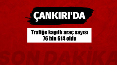 Türkiye İstatistik Kurumu Başkanlığı (TÜİK) Motorlu Kara Taşıtları, Mayıs 2026