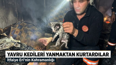 Her türlü afetlere karşı mücadele veren Çankırı itfaiyesi sadece insanlara
