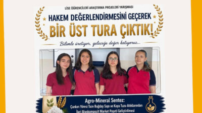 Çankırı TOBB Fen Lisesi öğrencilerinin yaptığı Agro mineral sentez proje