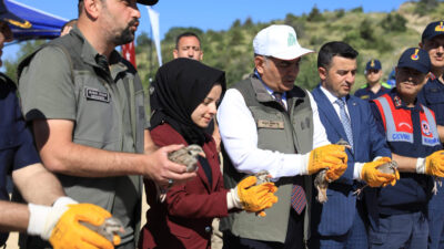 Doğa Koruma ve Milli Parklar İl Müdürlüğünce Sarıdağ mevkisinde keklik