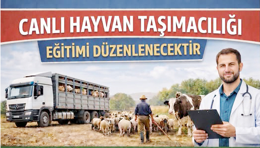 Çankırı’da Canlı Hayvan Taşımacılığı Eğitimi Başlıyor! Çankırı İl Tarım ve Orman Müdürlüğü, canlı hayvan taşımacılığı yapan