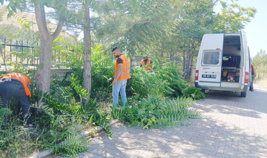 Şabanözü Belediyesi, ilçe genelindeki çalışmalarına hız kesmeden devam ediyor. Belediye