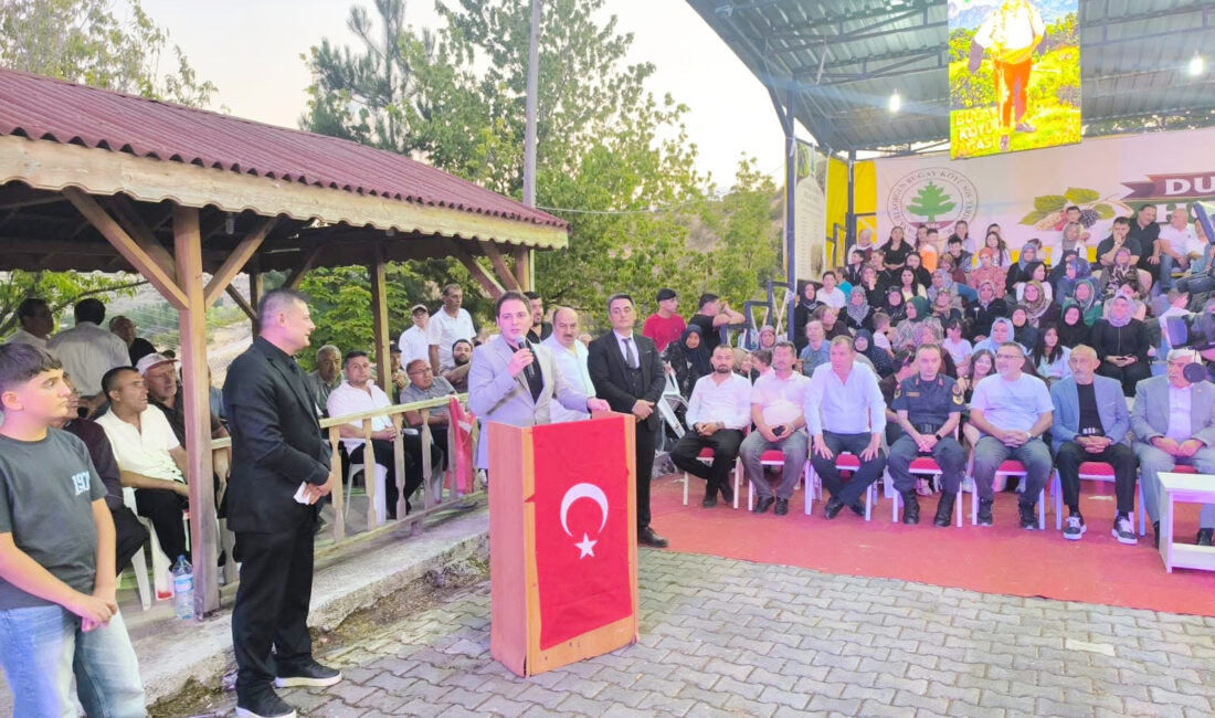 Korgun’a bağlı Bugay Köyü’nde bu yıl 23’üncüsü düzenlenen Geleneksel Dut