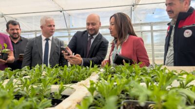 Birleşmiş Milletler Kalkınma Programı (UNDP) Türkiye Mukim Temsilcisi Monica Merino