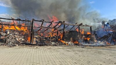 Çankırı’nın Ilgaz ilçesinde bir samanlıkta çıkan yangında 1 büyükbaş hayvan
