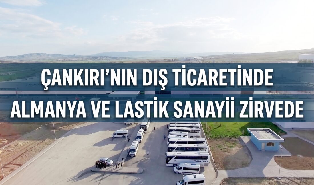 Türkiye İstatistik Kurumu (TÜİK) Başkanlığı, Temmuz 2026 dönemine ait Dış