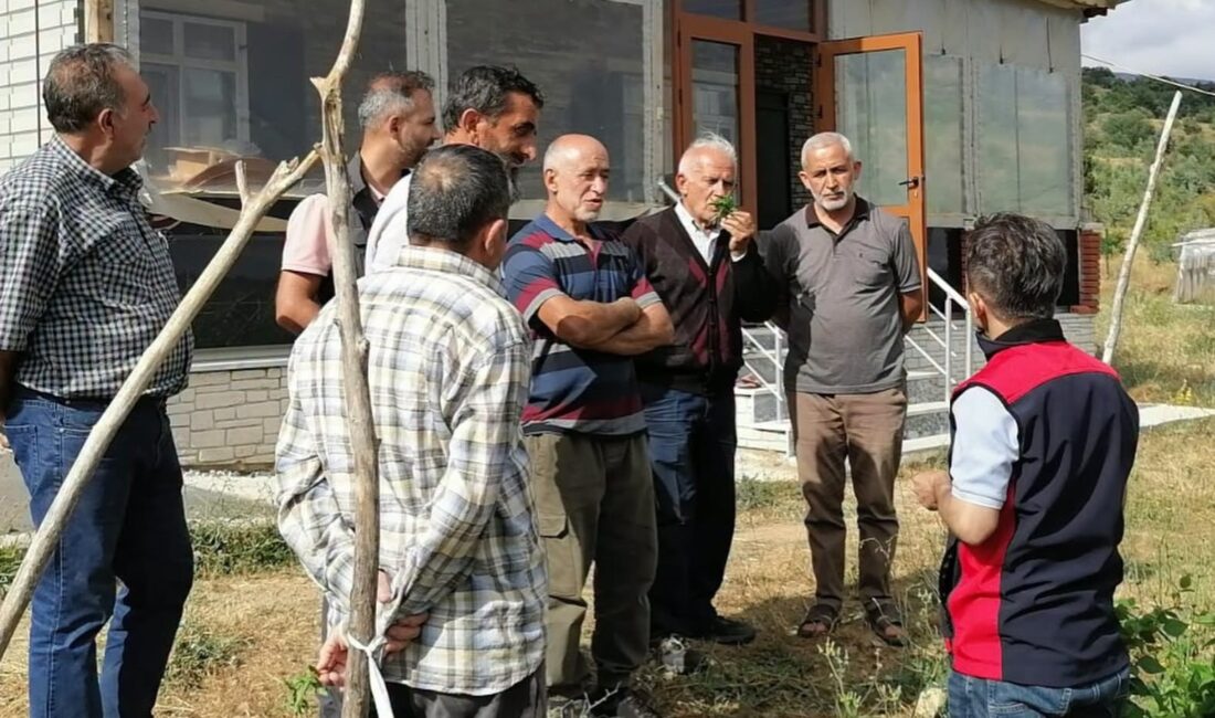 Çankırı İl ve İlçe Tarım ve Orman Müdürlüğü teknik personeli,