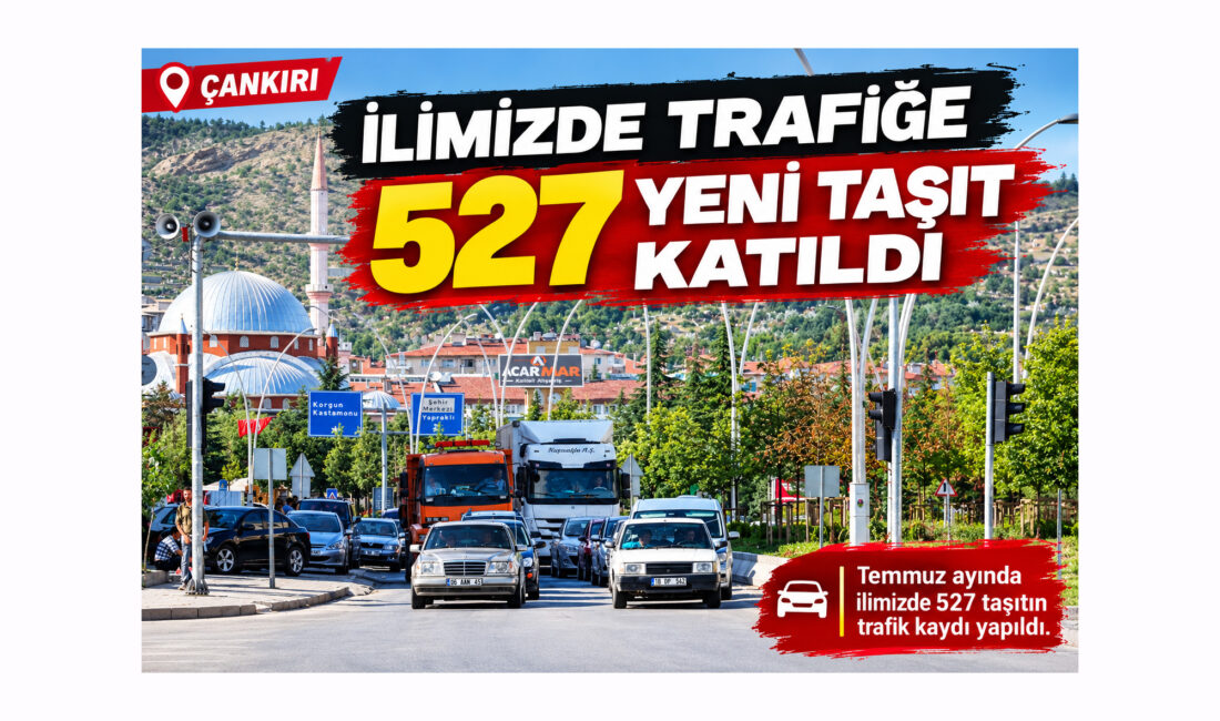 Türkiye İstatistik Kurumu Başkanlığı (TÜİK) Motorlu Kara Taşıtları, Temmuz 2026