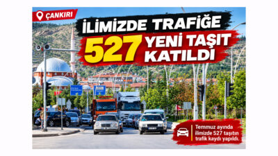 Türkiye İstatistik Kurumu Başkanlığı (TÜİK) Motorlu Kara Taşıtları, Temmuz 2026