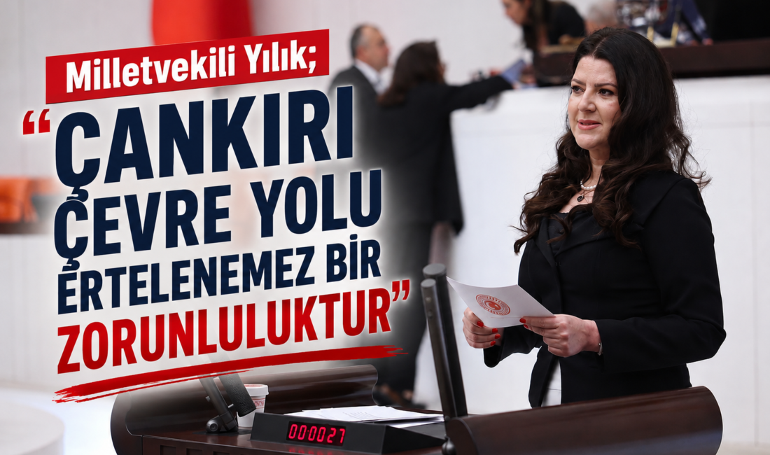 Milliyetçi Hareket Partisi (MHP) Çankırı Milletvekili, Türkiye Büyük Millet Meclisi