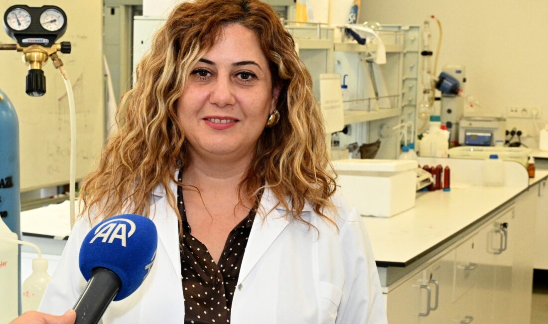 Çankırı Karatekin Üniversitesi Fen Fakültesi Analitik Kimya Ana Bilim Dalı