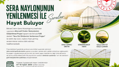 Çankırı İl Tarım ve Orman Müdürlüğü, atıl durumdaki örtü altı