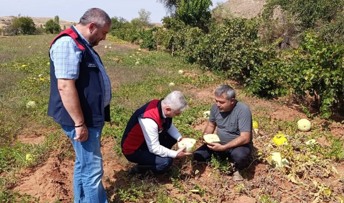 “Kızılırmak’ta Üretimin Nabzını Tutuyoruz” Çankırı Tarım ve Orman İl Müdürü Latif Candan, Kızılırmak ilçesinde