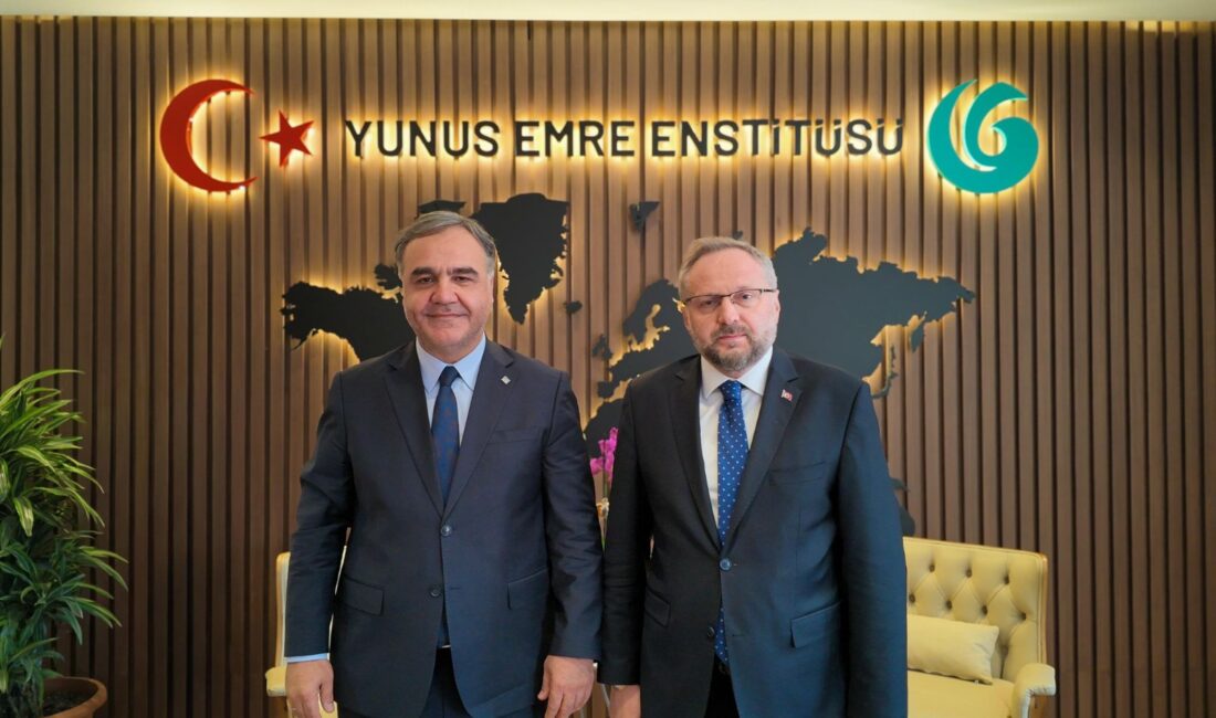 Çankırı Karatekin Üniversitesi ile Yunus Emre Enstitüsü arasında gerçekleştirilebilecek akademik