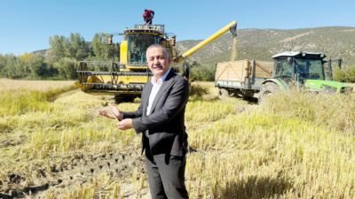 Ilgaz’ın coğrafi işaretli değeri Sarıkılçık Pirinci, Türkiye’ye tanıtıldı. Ilgaz Belediye