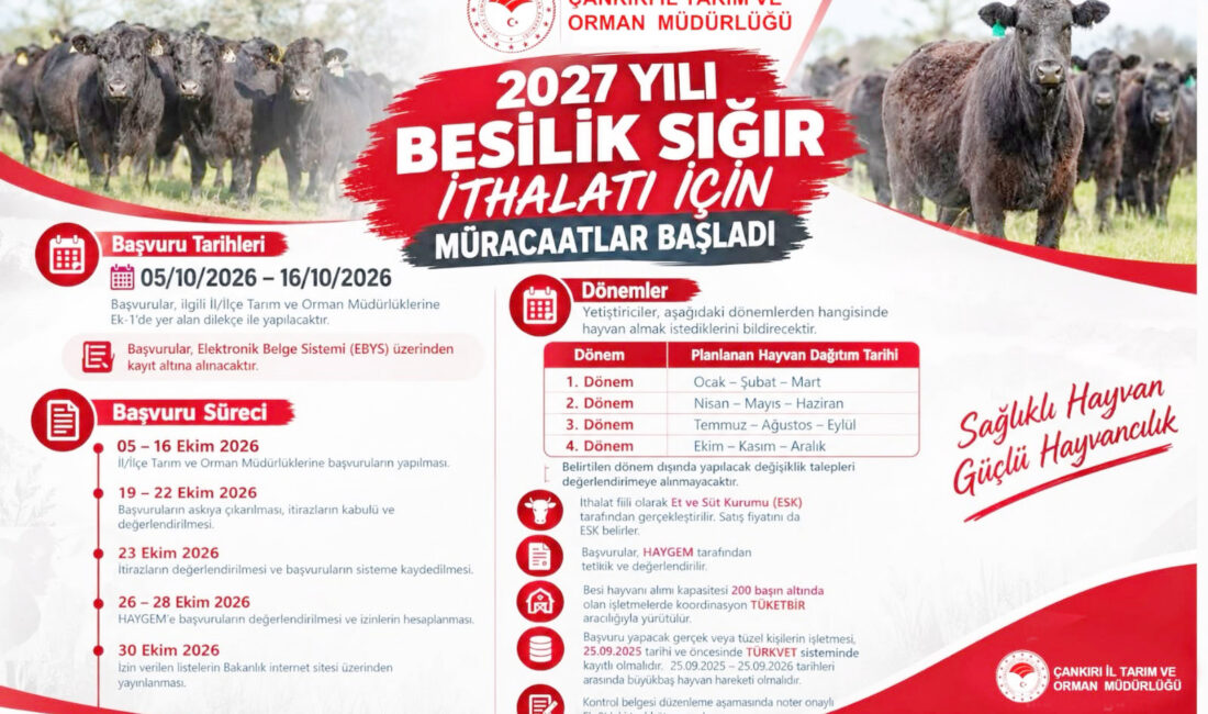 Çankırı’da 2027 Yılı Besilik Sığır İthalati Başvuruları Başladı Çankırı İl Tarım ve Orman Müdürlüğü, 2027 yılı besilik sığır