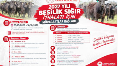 Çankırı İl Tarım ve Orman Müdürlüğü, 2027 yılı besilik sığır