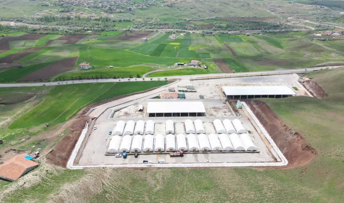 Çankırı’da Hayvan Pazarları Yeniden Açıldı Çankırı’da şap hastalığına karşı alınan tedbirler kapsamında kapatılan hayvan pazarları