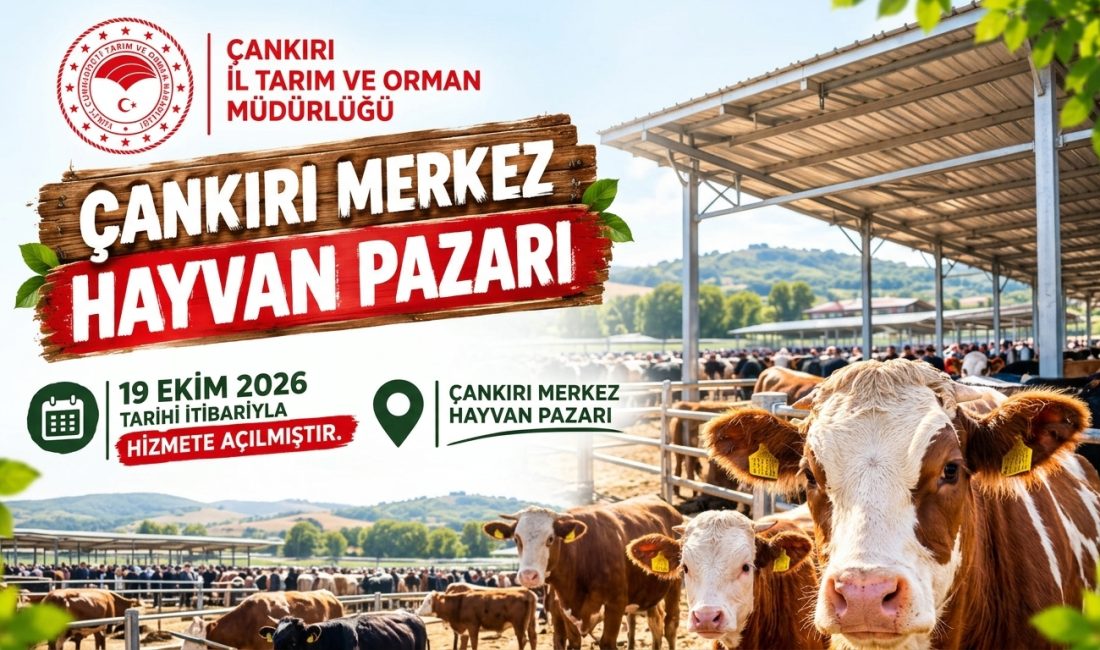 Çankırı Merkez Hayvan Pazarı Kapılarını Yeniden Açtı Çankırı’da hayvan hastalıklarıyla mücadele tedbirleri kapsamında tedbir amaçlı geçici süreyle