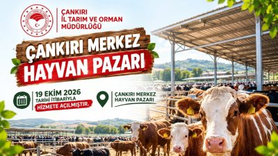Çankırı’da hayvan hastalıklarıyla mücadele tedbirleri kapsamında tedbir amaçlı geçici süreyle