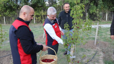 Çankırı’da yerel tarımsal üretimi çeşitlendirmek amacıyla geçen yıl toprakla buluşturulan