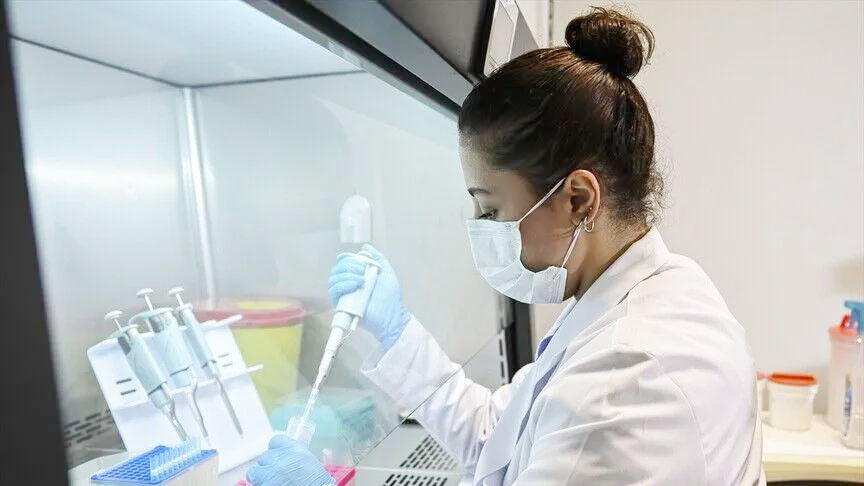 Kaliforniya Üniversitesi Los Angeles ile Türkiye’deki dört üniversitenin yürüttüğü projede,